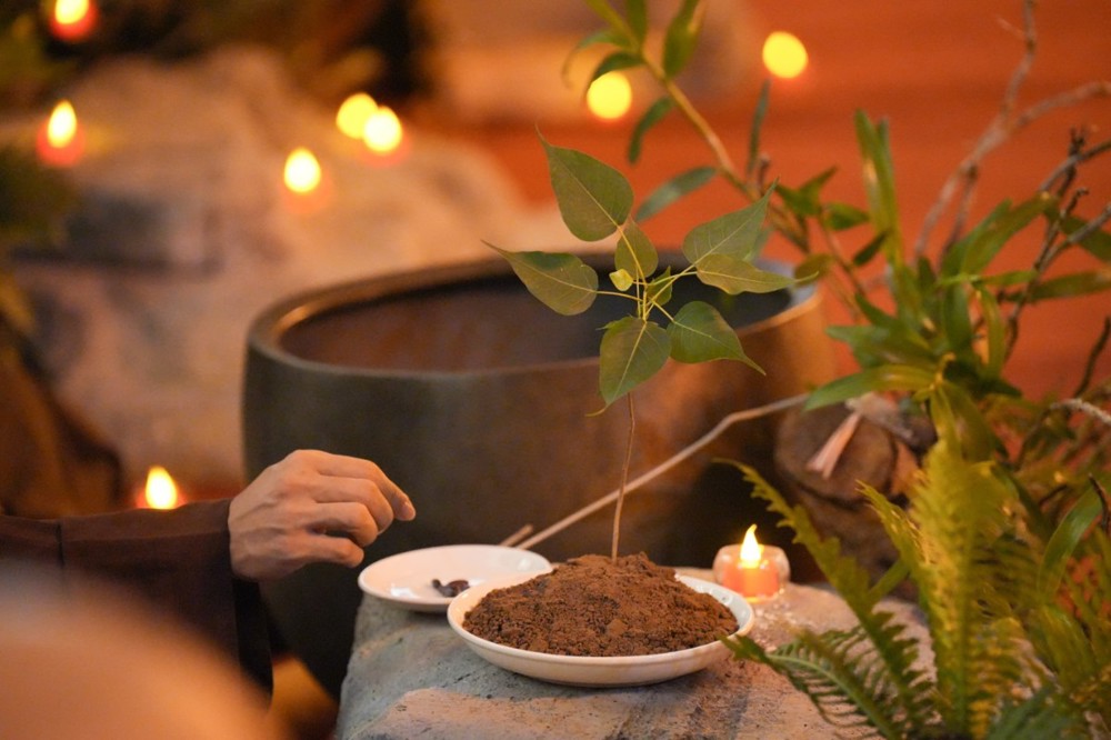 A person eating a plant

AI-generated content may be incorrect.