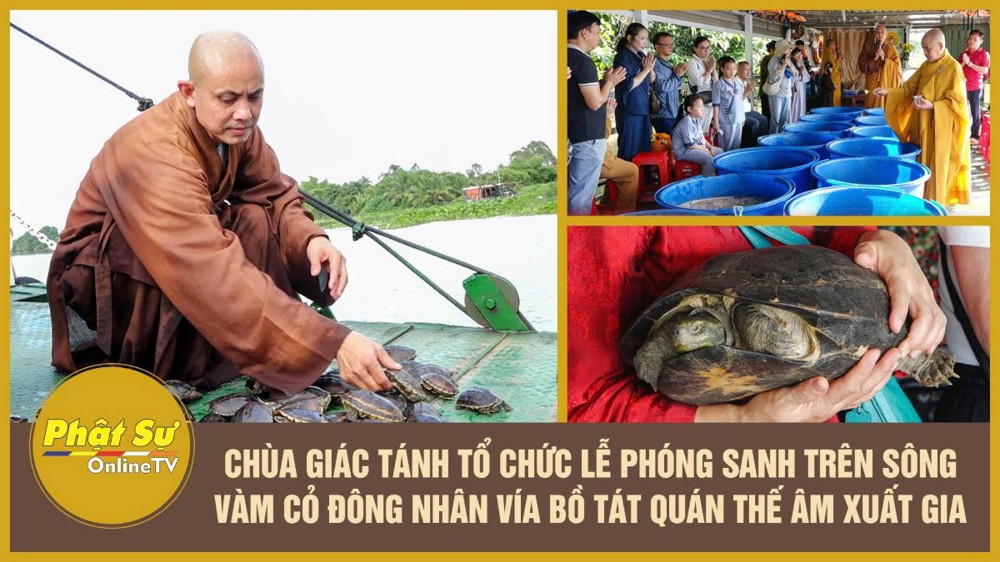 [Video] TP.HCM: Chùa Giác Tánh tổ chức lễ phóng sanh trên sông Vàm Cỏ Đông nhân Vía Bồ Tát Quán Thế Âm xuất gia