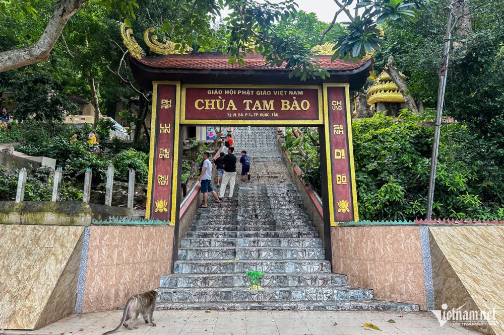 Ngôi chùa ẩn mình trên núi ở TP.HCM có đàn khỉ hàng trăm con
