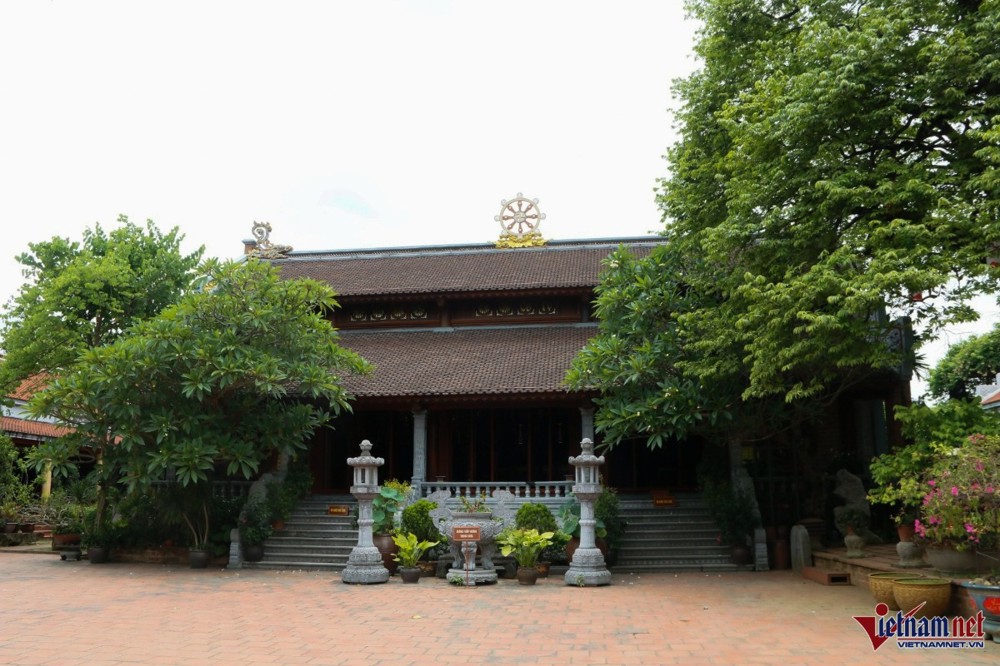 Ngôi chùa trên khu đất hình đầu rồng, sở hữu 2 cây di sản đầu tiên ở Ninh Bình