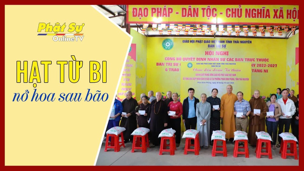 [Video] PGĐS: HẠT TỪ BI NỞ HOA SAU BÃO