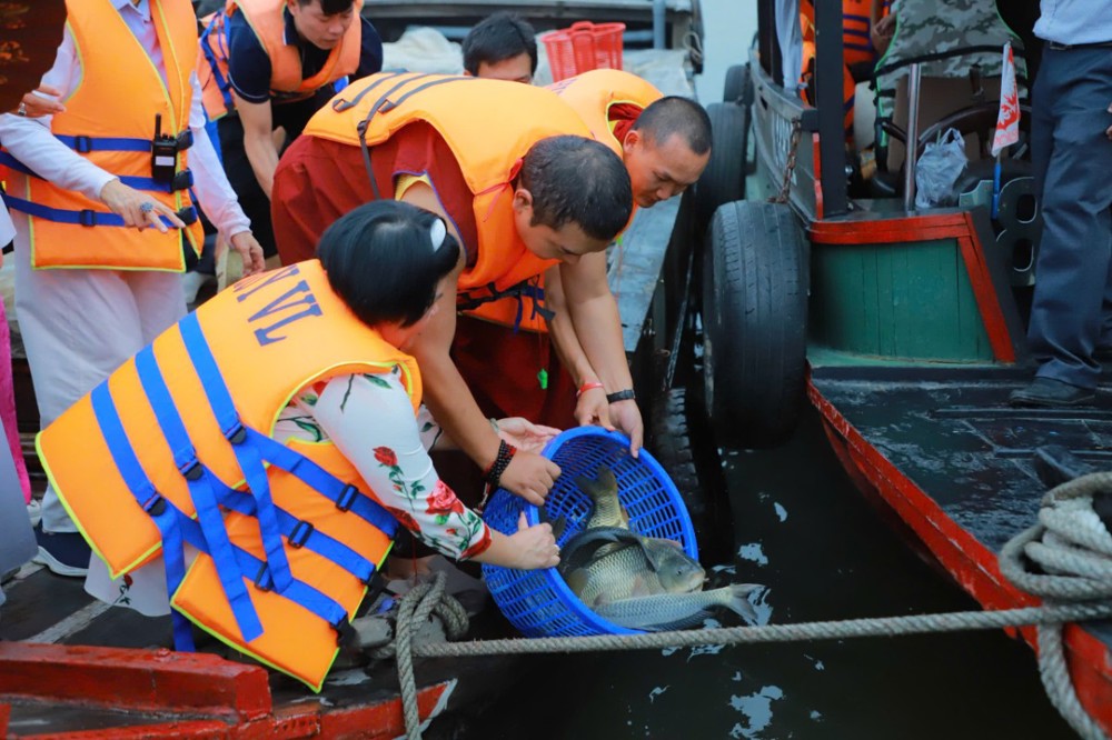 Vĩnh Long: Quan Âm Tu Viện (TP.HCM) và dòng truyền thừa Drukpa tổ chức phóng sanh các loài thủy sinh