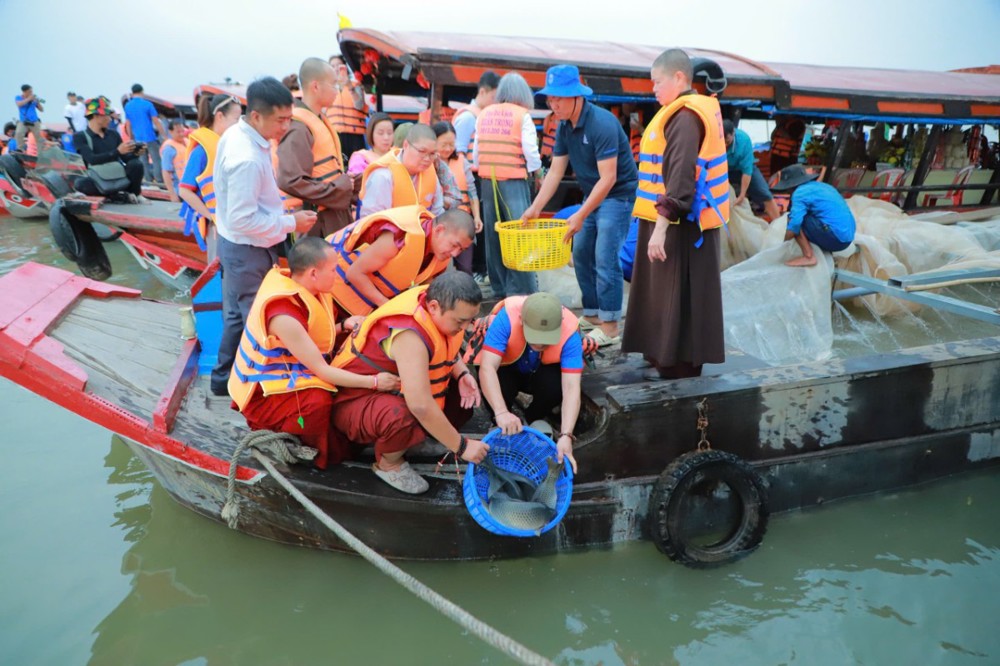 Vĩnh Long: Quan Âm Tu Viện (TP.HCM) và dòng truyền thừa Drukpa tổ chức phóng sanh các loài thủy sinh