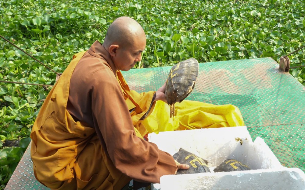 TP.HCM: Chùa Giác Tánh tổ chức lễ phóng sanh, lan tỏa tâm từ bi