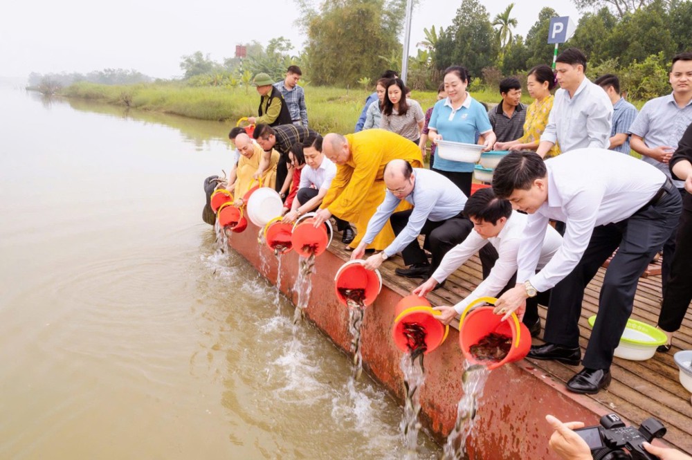 Thanh Hóa: Lễ thả cá giống tái tạo và phát triển nguồn lợi thủy sản