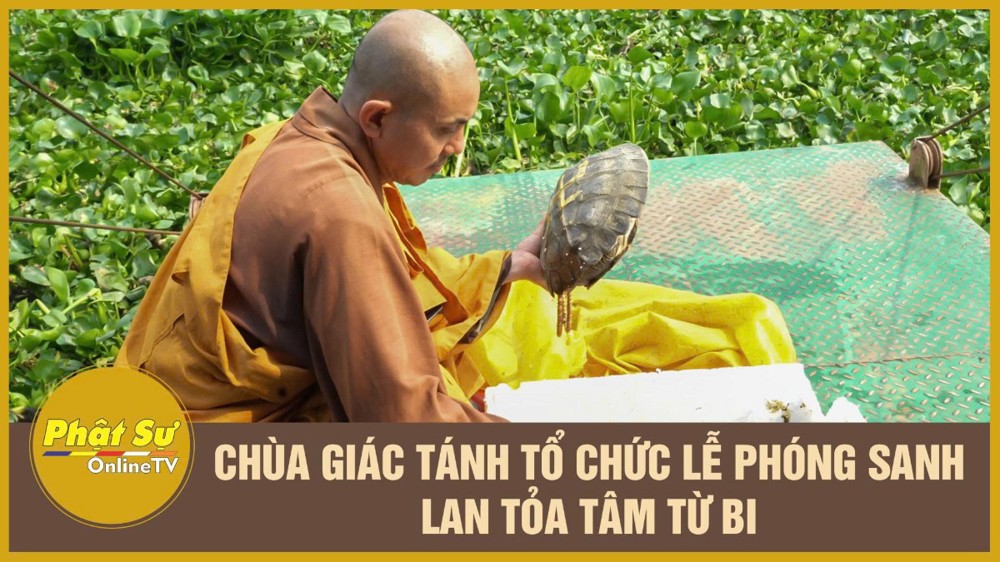 [Video] TP.HCM: Chùa Giác Tánh tổ chức lễ phóng sanh, lan tỏa tâm từ bi