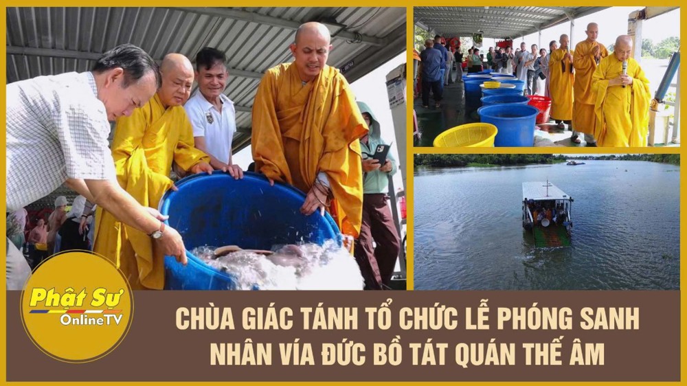 [Video] Chùa Giác Tánh tổ chức lễ phóng sanh nhân Vía Đức Bồ Tát Quán Thế Âm