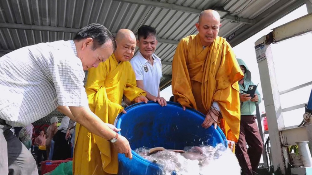 TP.HCM: Chùa Giác Tánh tổ chức lễ phóng sanh kính mừng Vía Đức Bồ Tát Quán Thế Âm