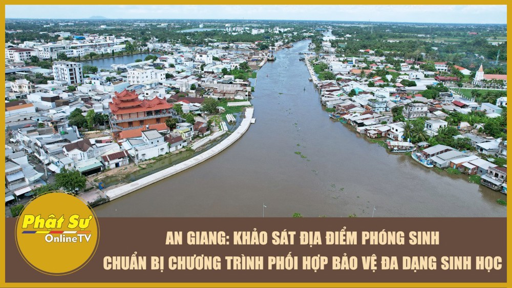 [Video] An Giang: Khảo sát địa điểm phóng sinh, chuẩn bị chương trình phối hợp bảo vệ đa dạng sinh học